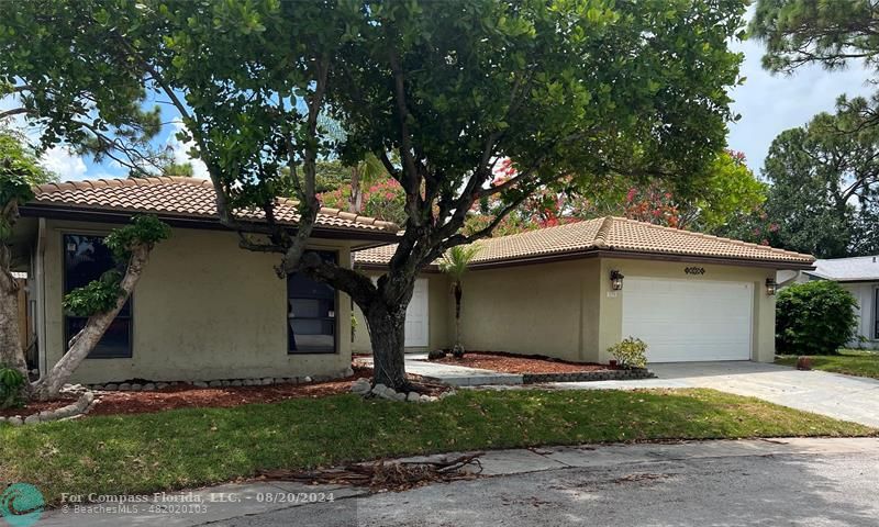 a house with a tree in front of it