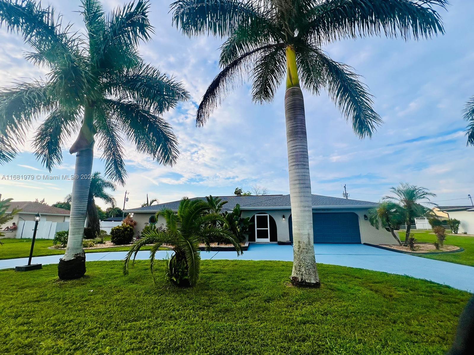 a garden with palm trees