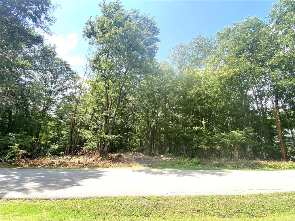 a view of a yard with a tree