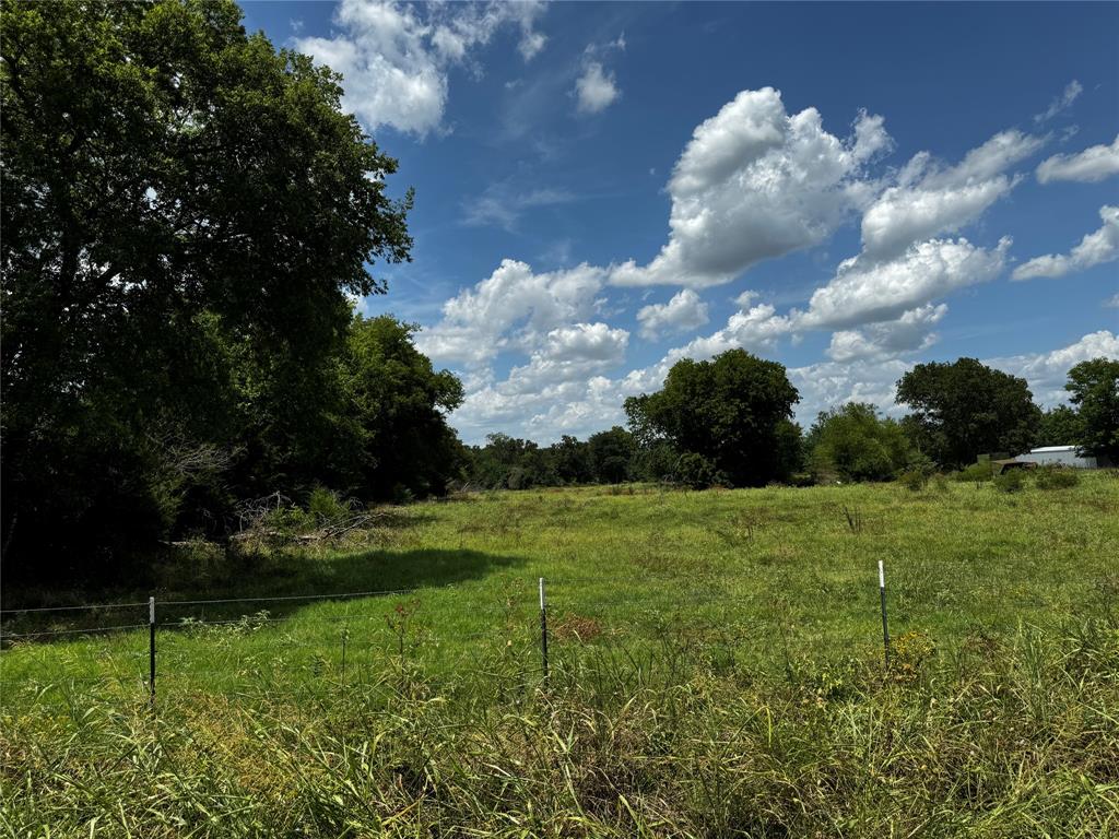 a view of a field of grass and trees