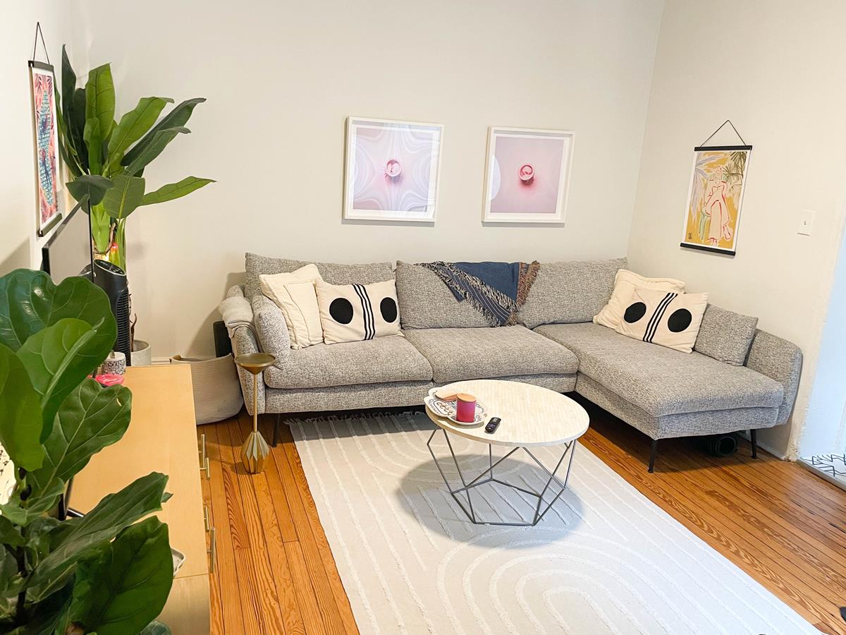 a living room with furniture and a potted plant