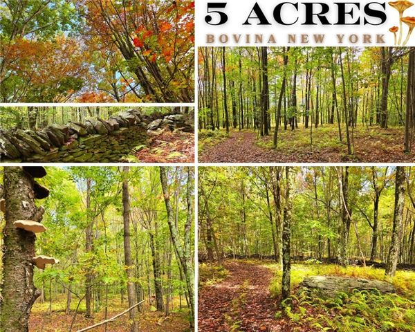 $69,990 | Lot 25 Kara Lane | Bovina