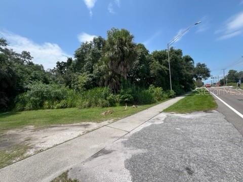 a view of a yard with plants and trees