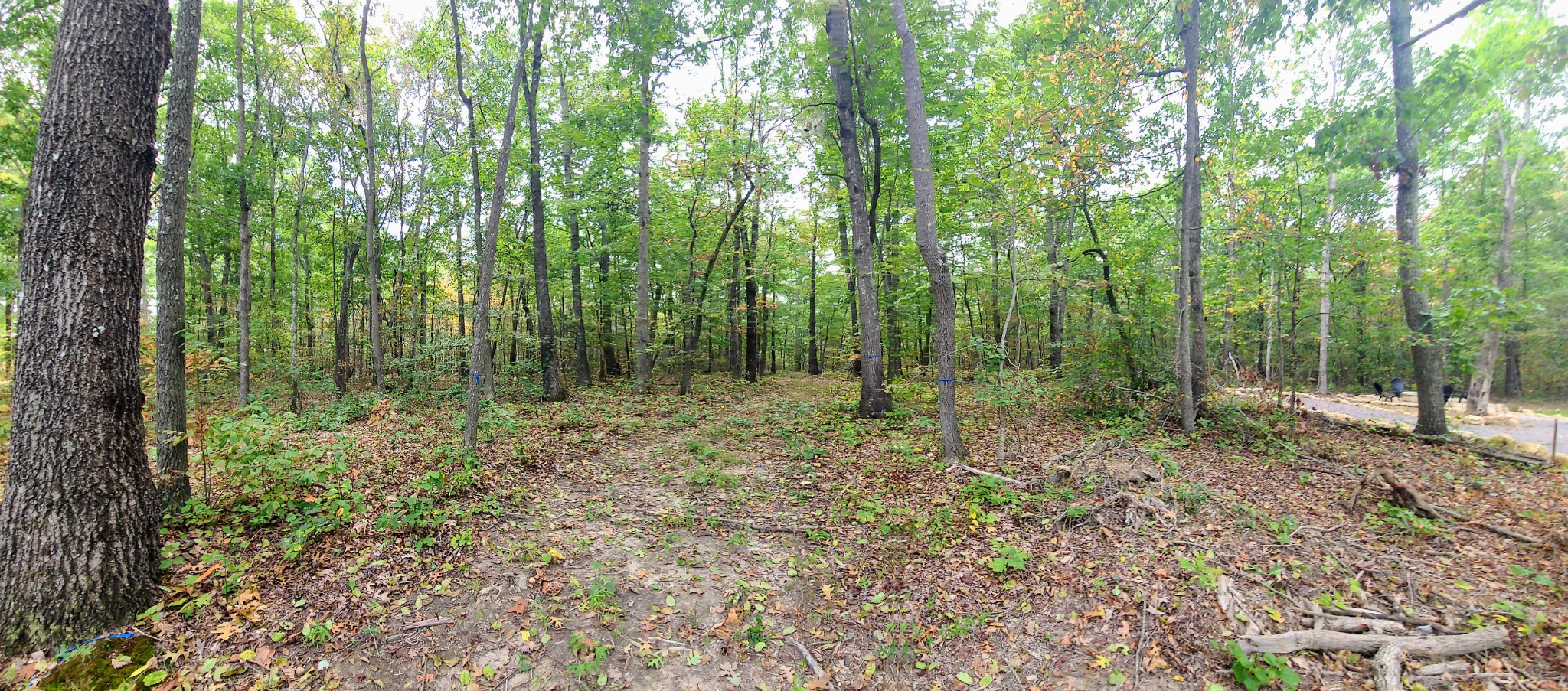 a view of outdoor space and green space