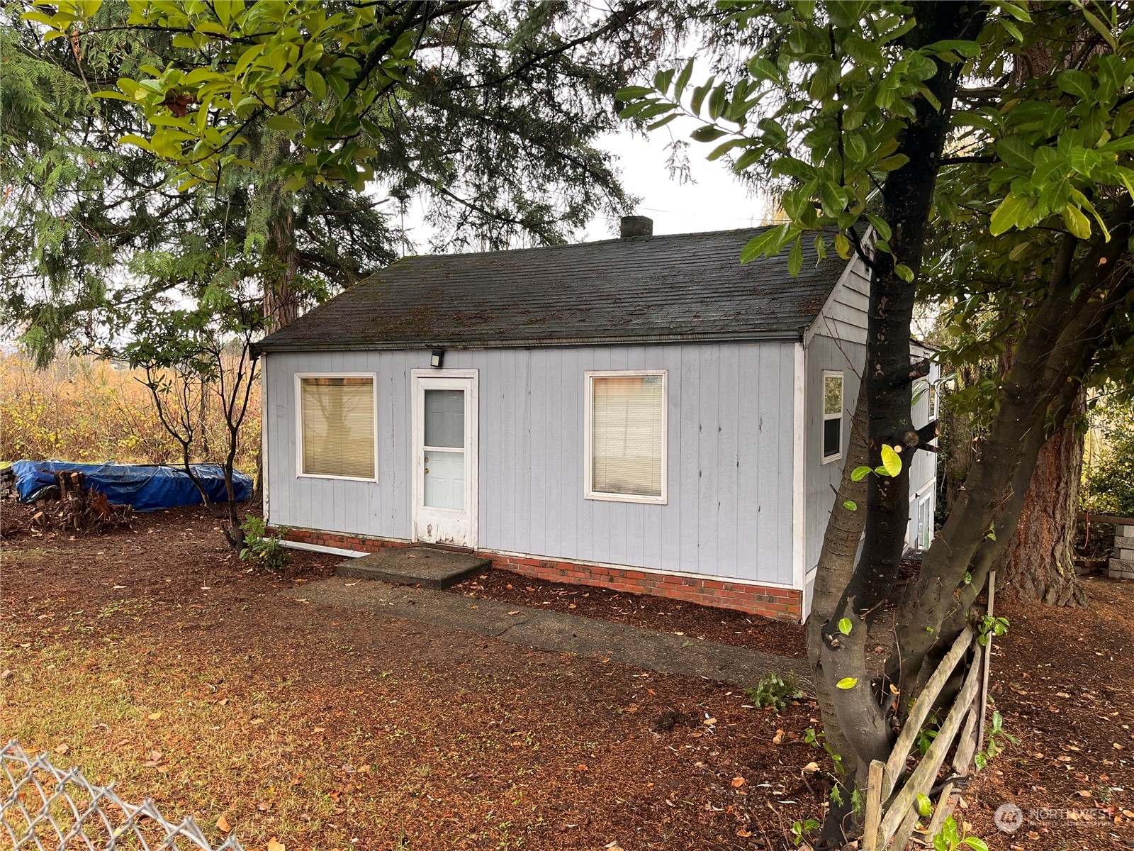 a house with a tree in front of it