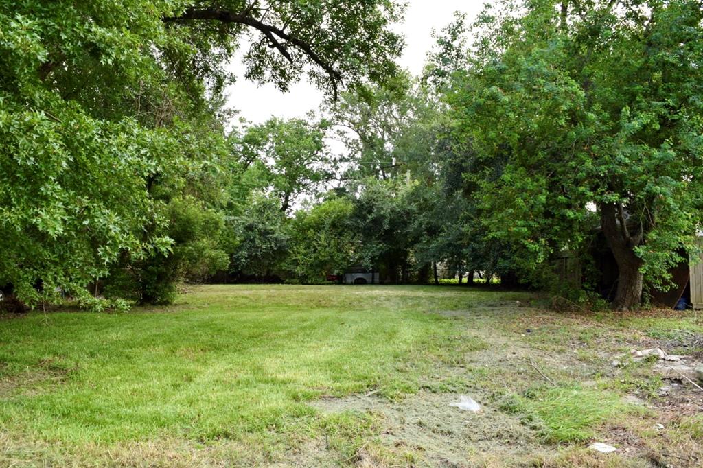 a view of a green field with trees in the background