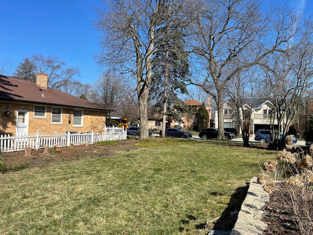 a view of a big yard with large trees