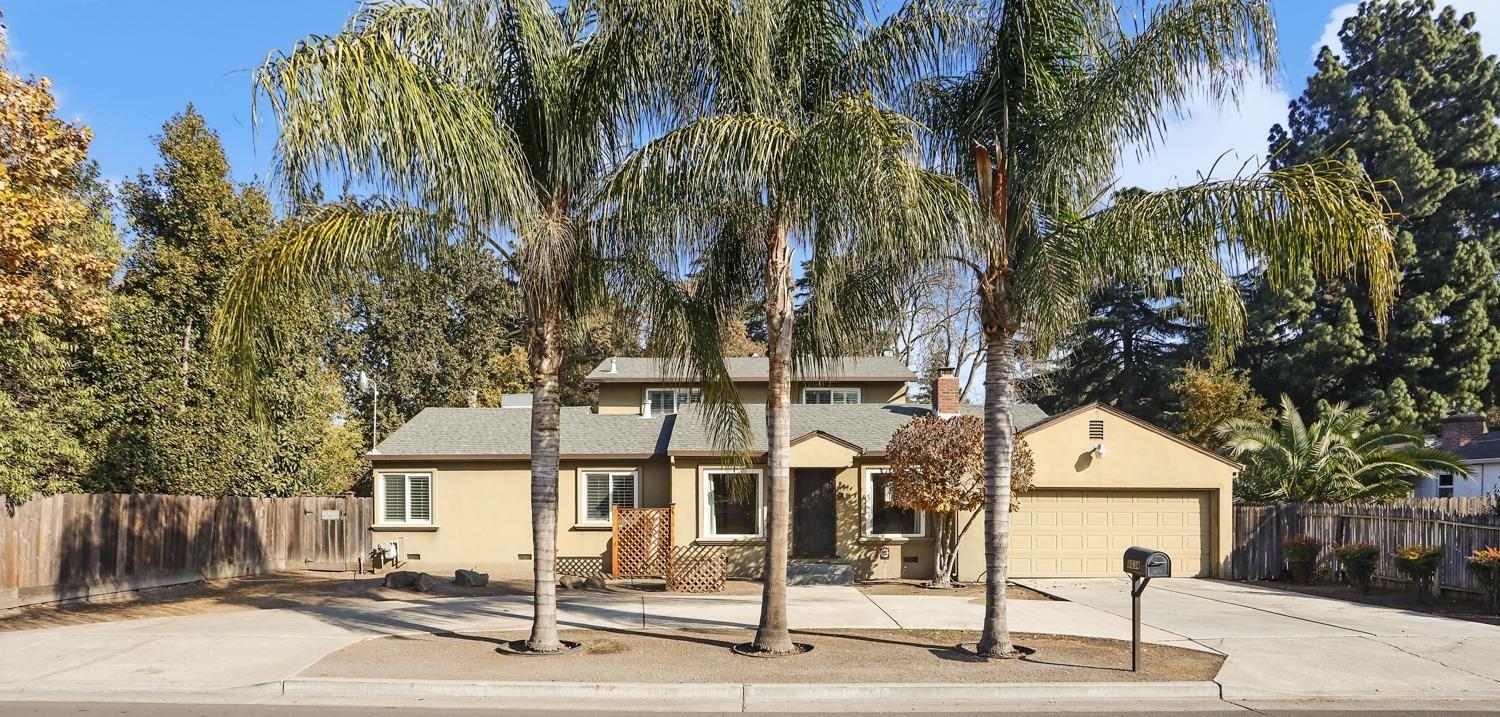 a outdoor space with lots of palm trees