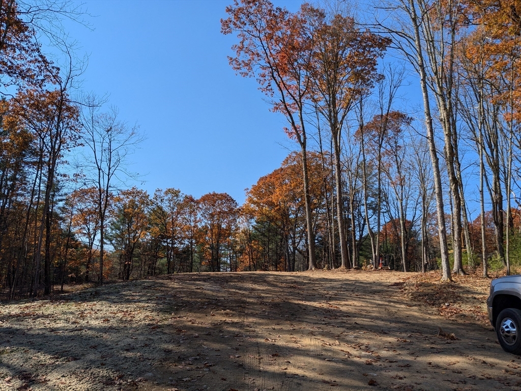 a view of road with trees