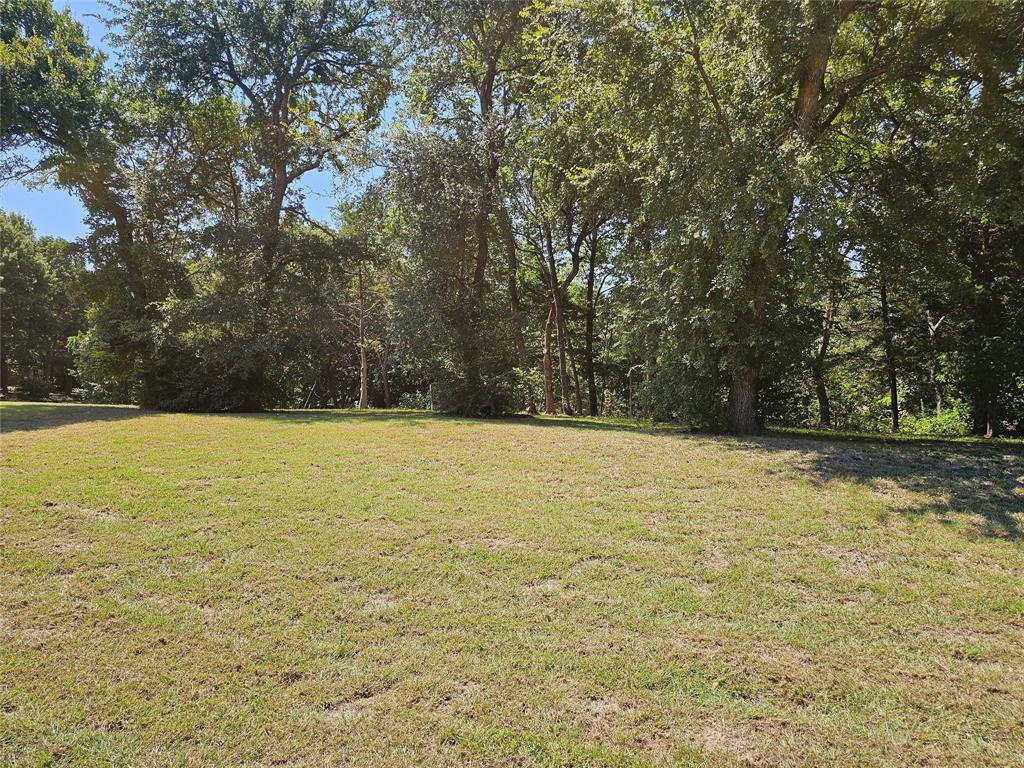 a view of a yard with trees