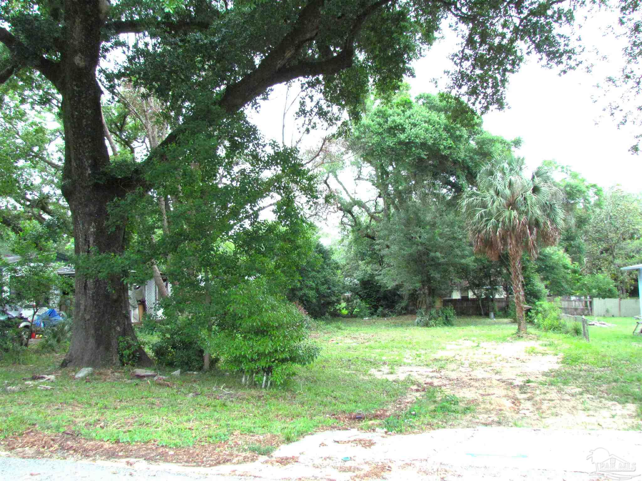 a view of a yard with a tree