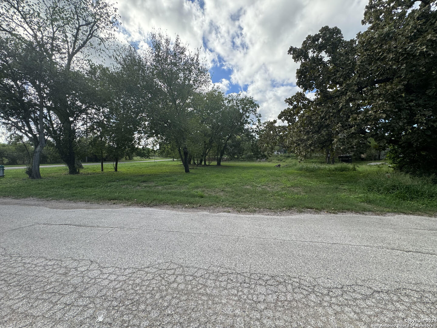 a grassy field with trees in the background