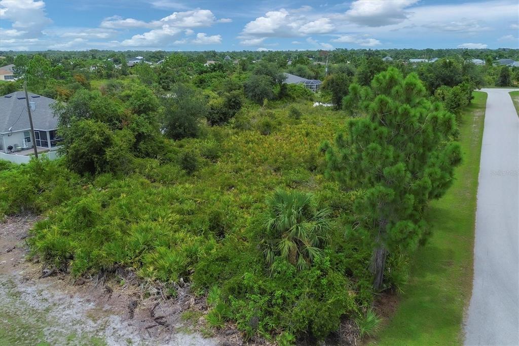 a view of a back yard