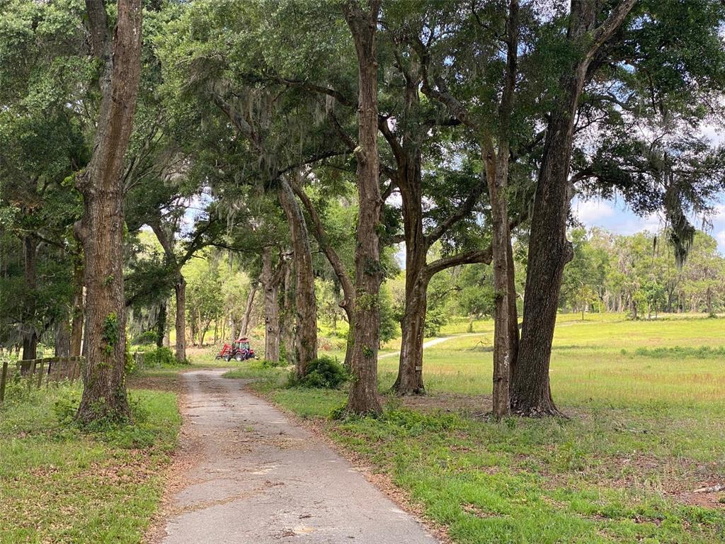 a view of outdoor space with trees