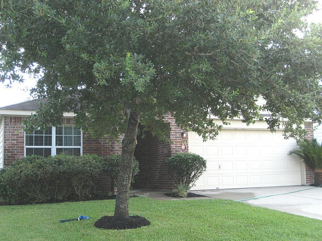 a garden with plants and trees