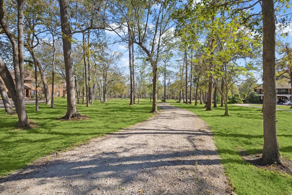 a view of a park with tree s