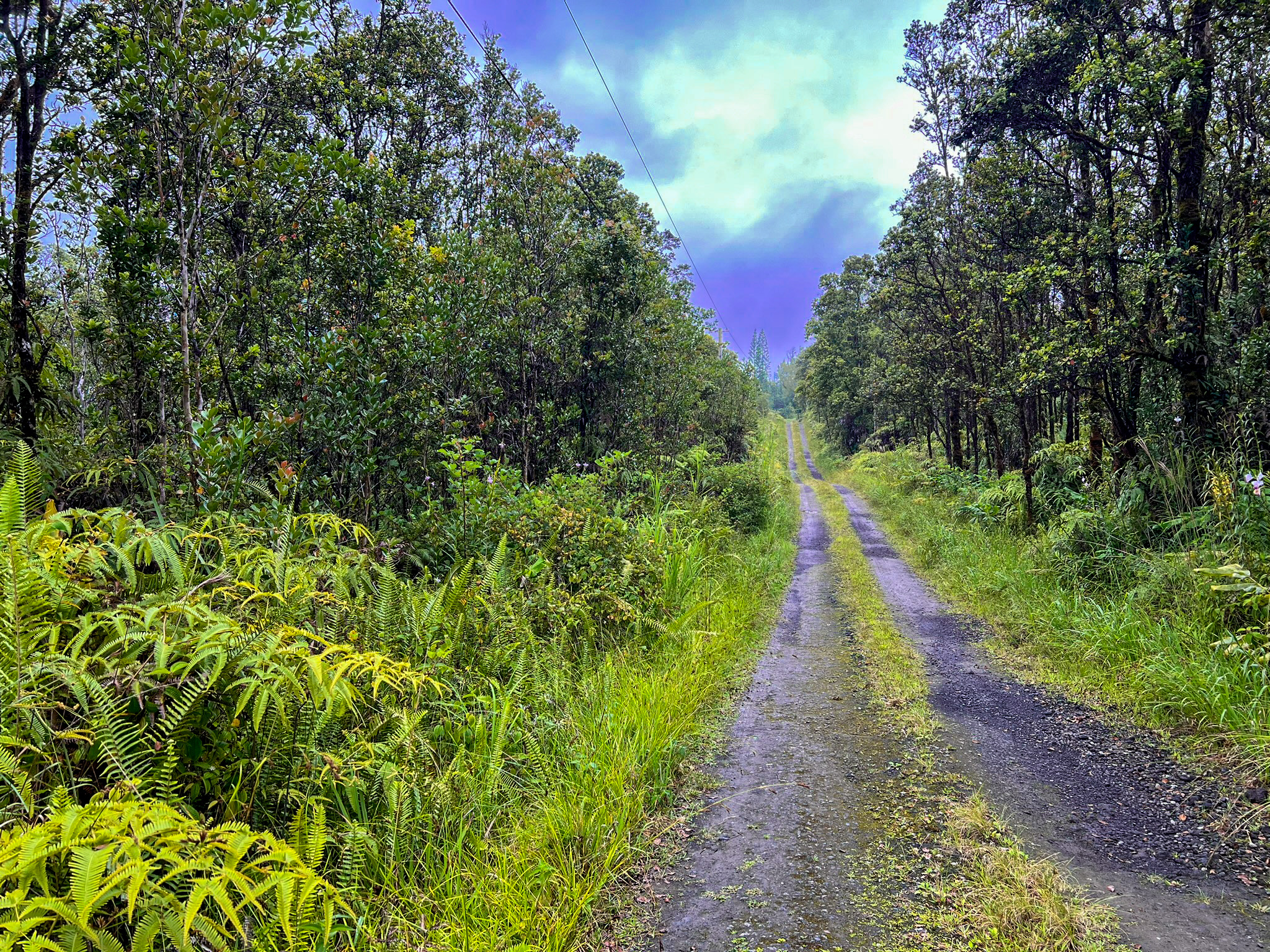 Kilinahe Road.