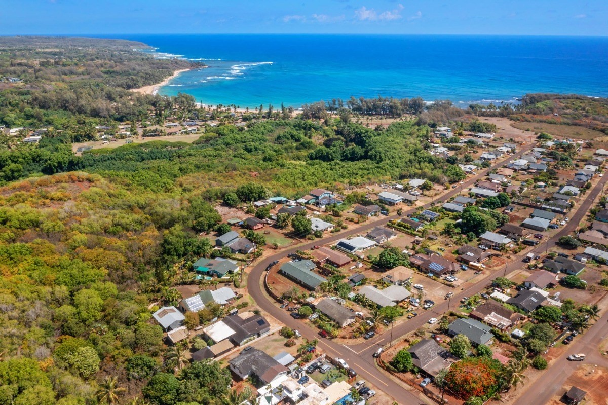 an aerial view of residential houses with outdoor space and trees