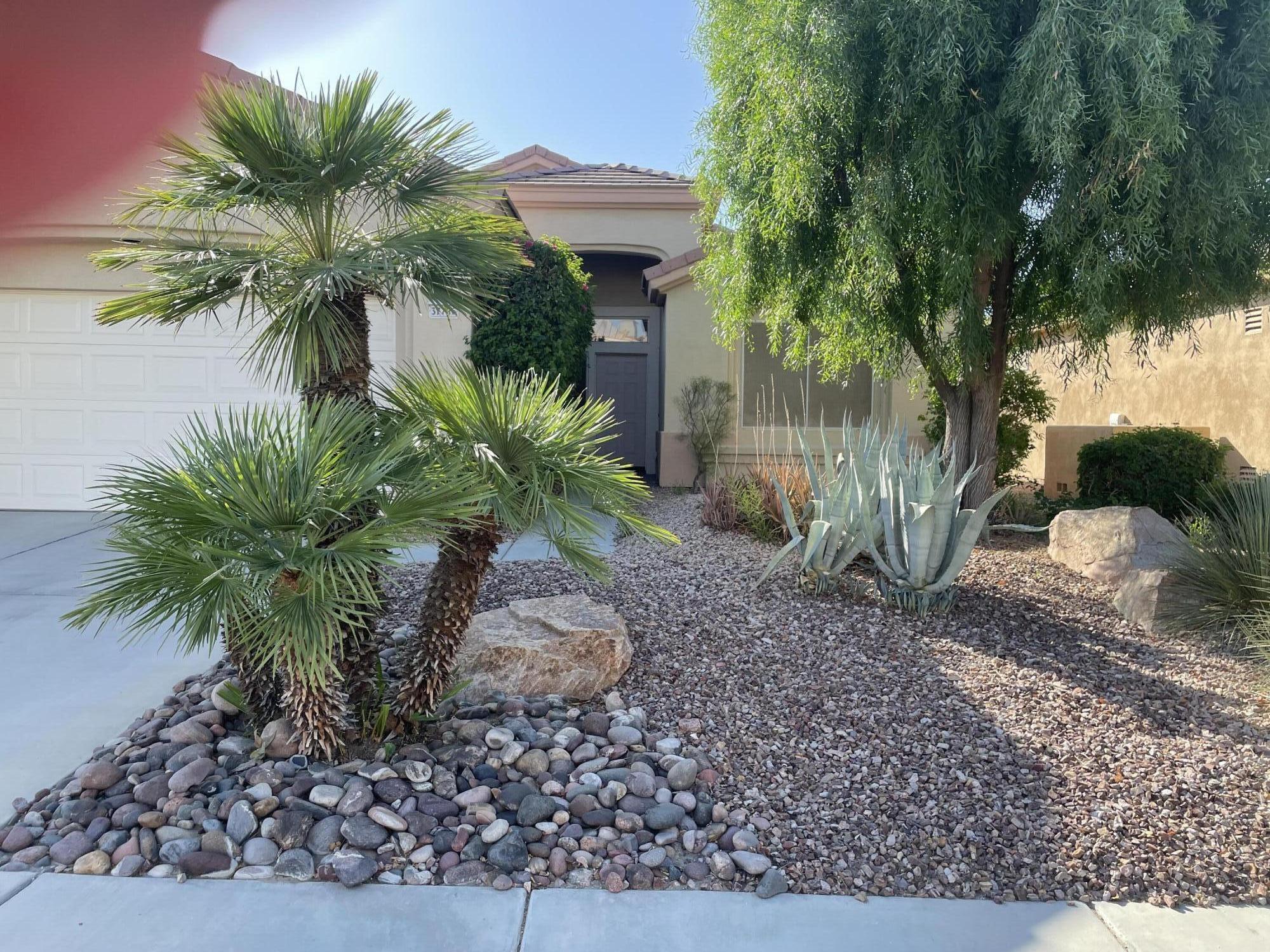 a view of a backyard with a garden