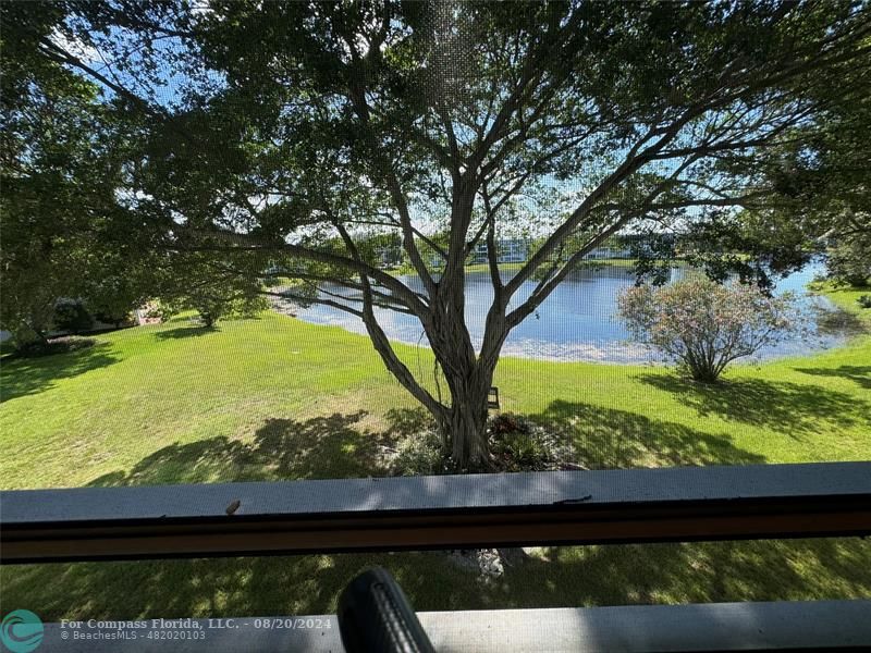 a view of outdoor from window