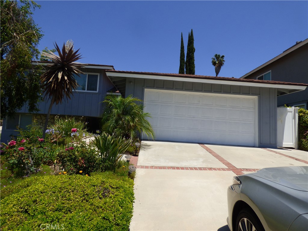 a backyard of a house with plants and palm tree