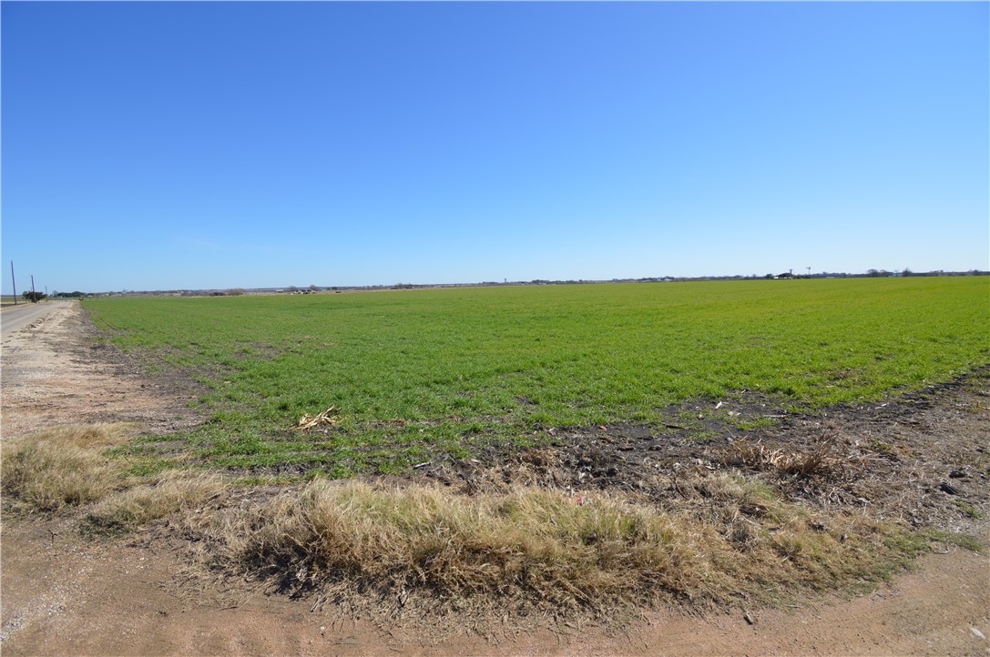 a view of a field with an ocean