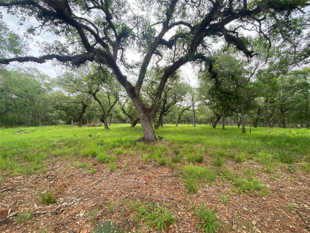 a view of outdoor space with green field and trees