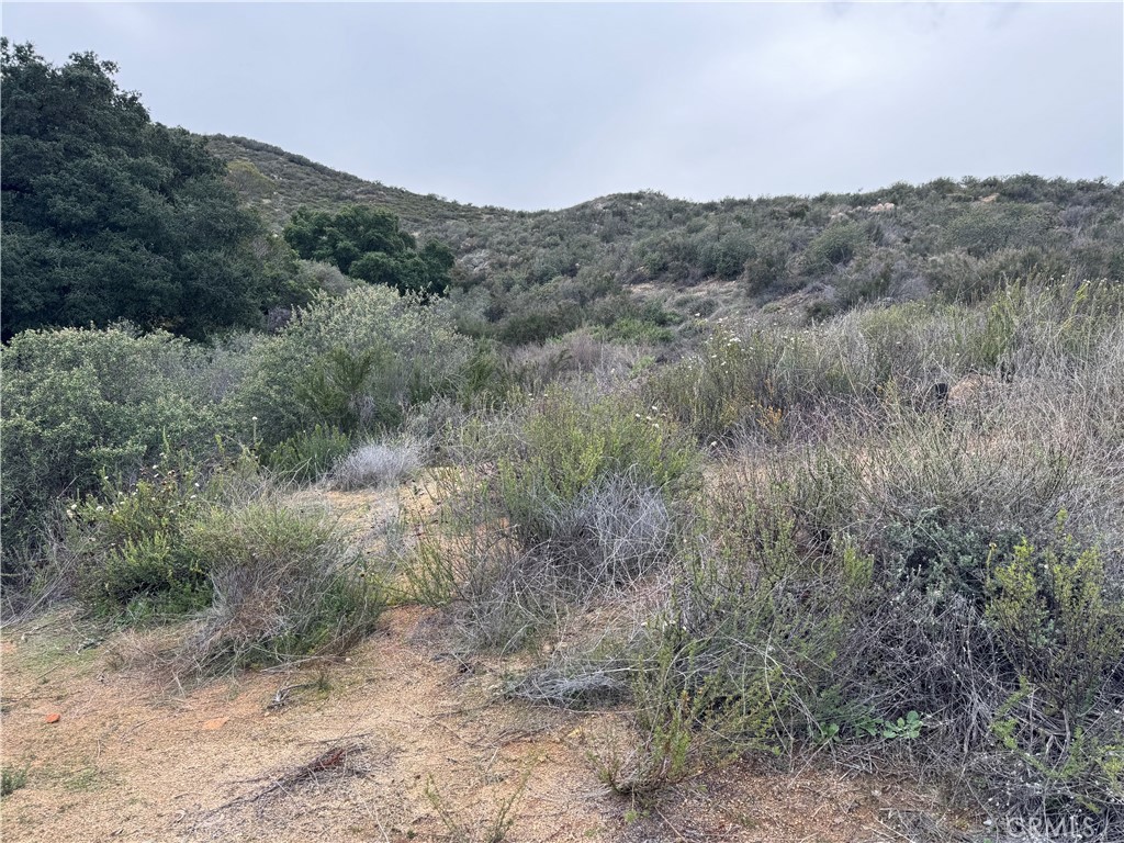 a view of a dry field