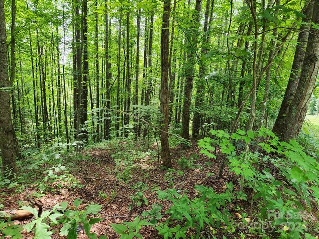 $13,000 | 78-79 Mckenzie Way South | Crooked Creek Township - McDowell County