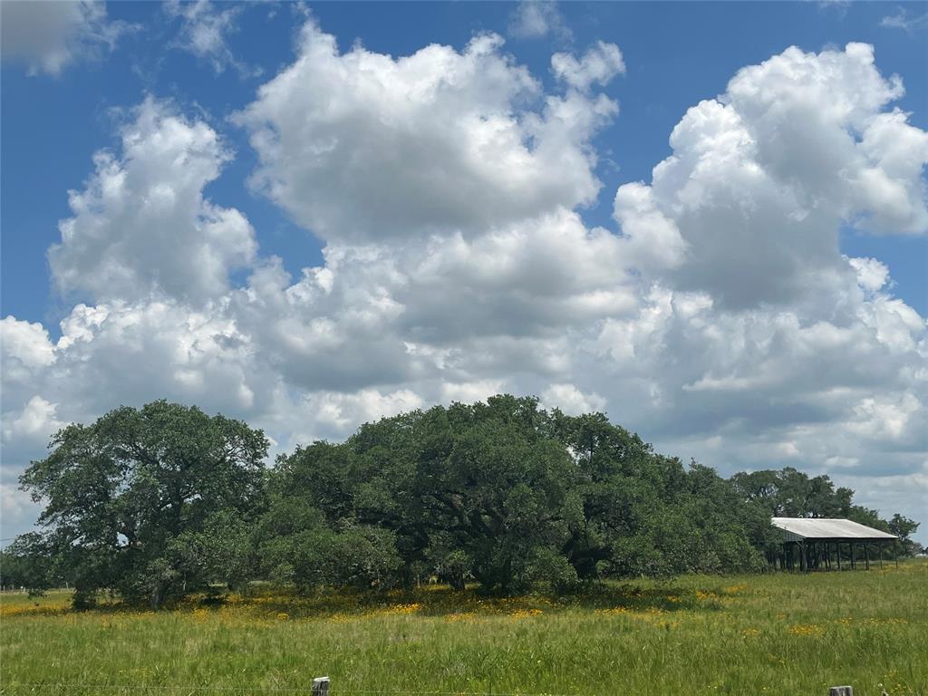 a view of a big yard