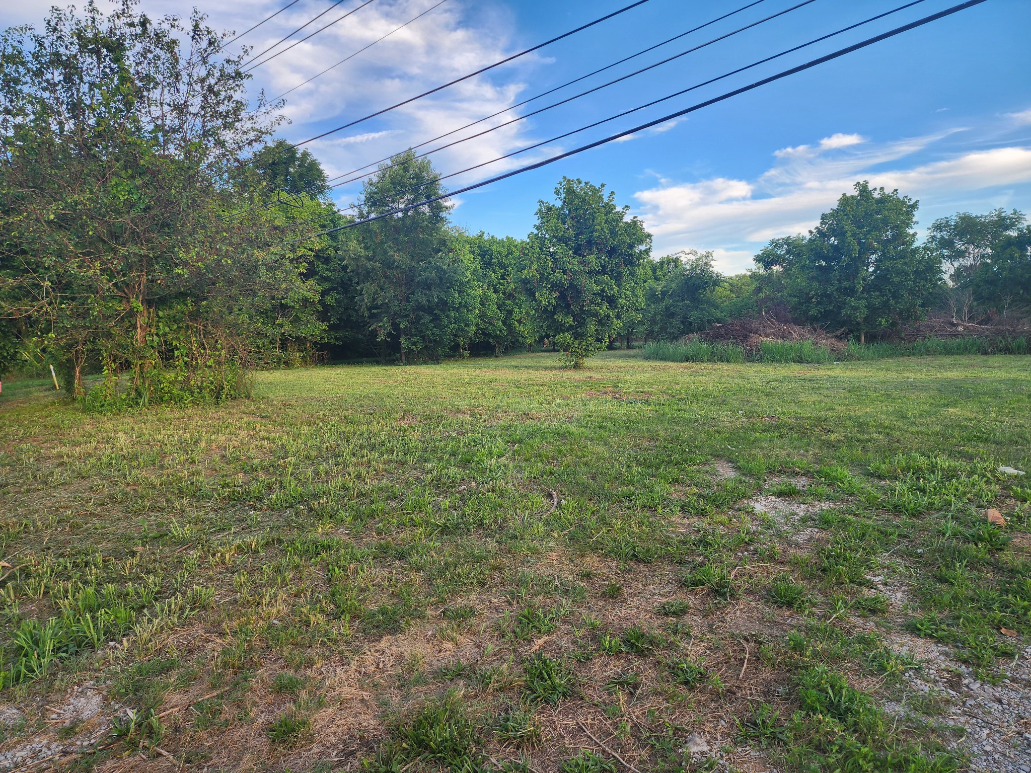 a view of outdoor space and yard