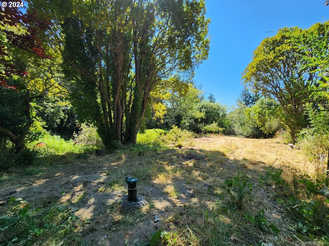 a view of a yard with large trees