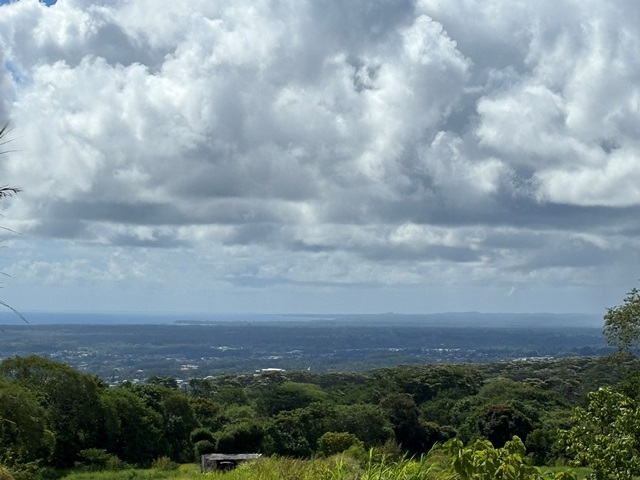 a view of city with green space