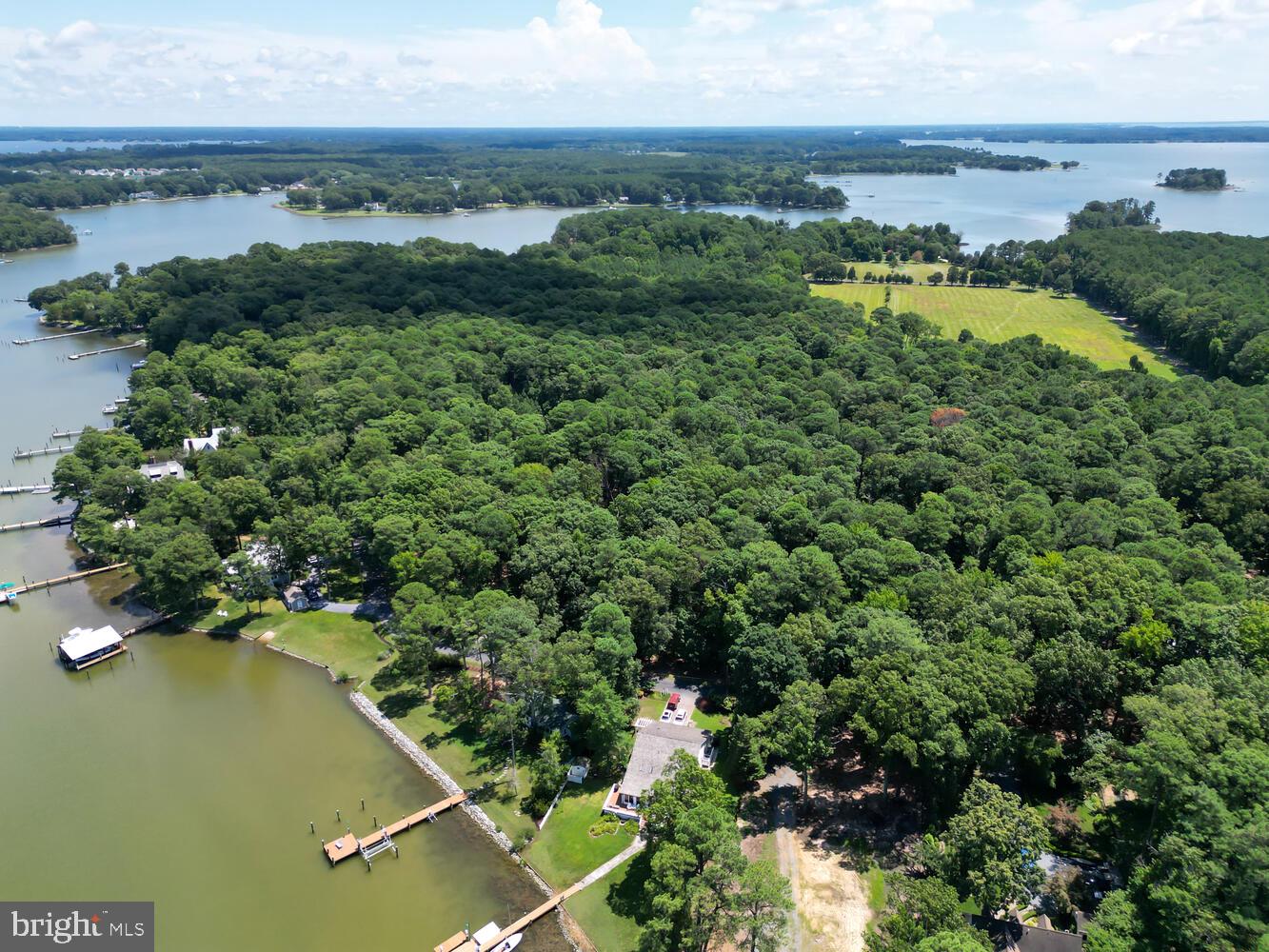 an aerial view of residential houses with outdoor space and trees