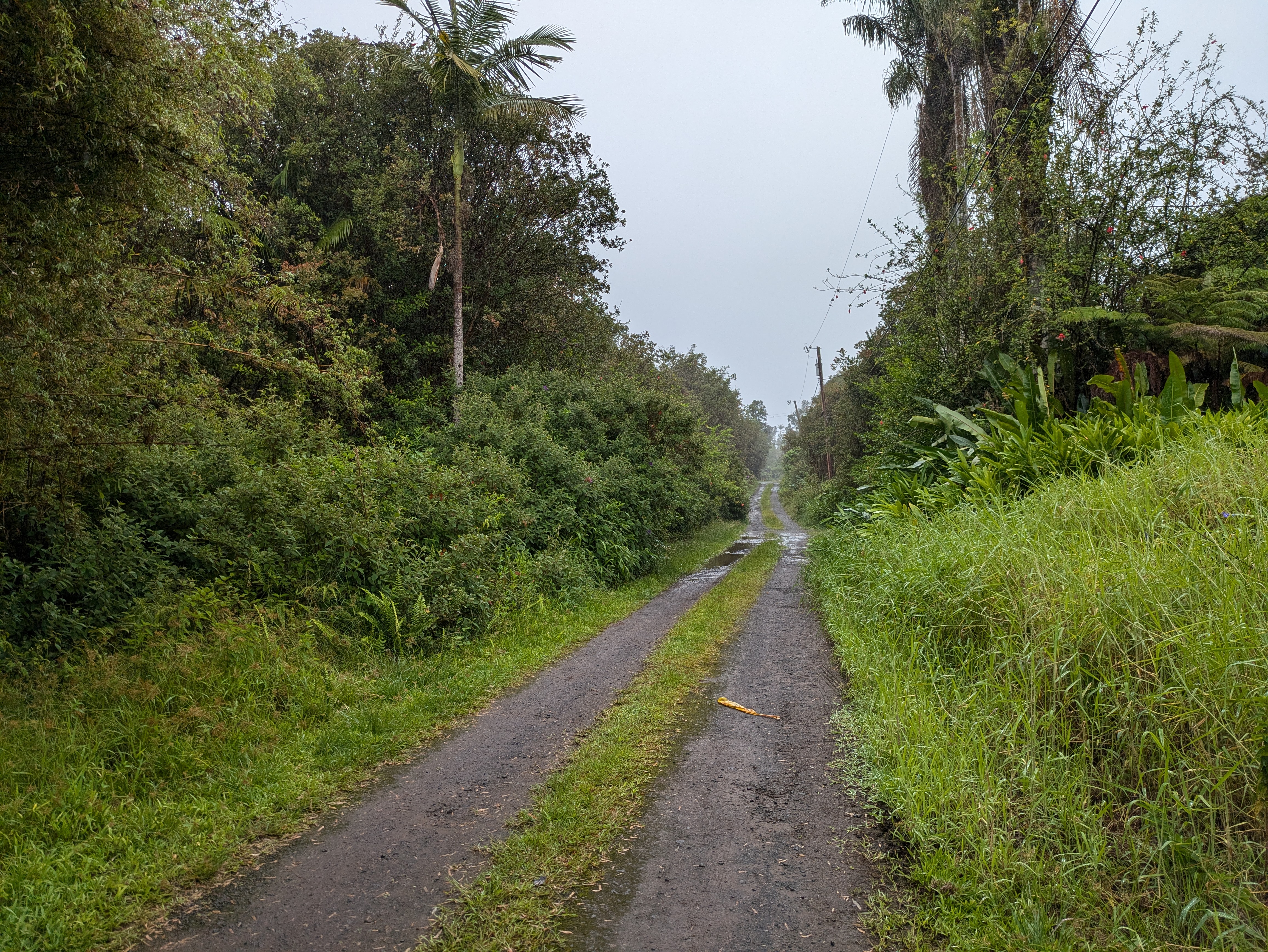 a view of a pathway both side of yard