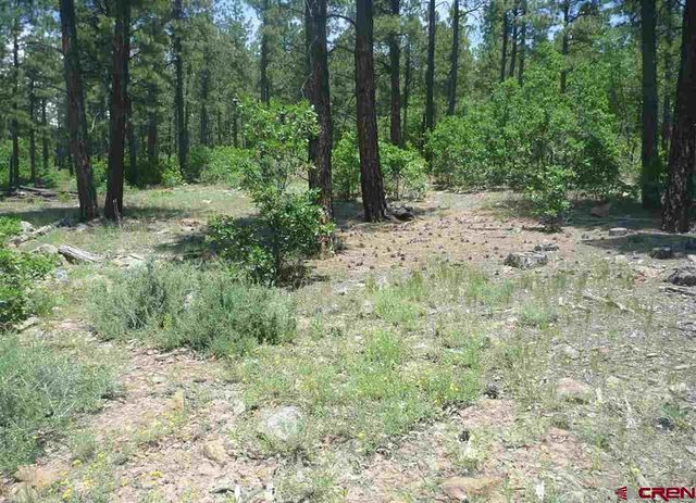 $199,900 | 966 Starling Circle | Pagosa West