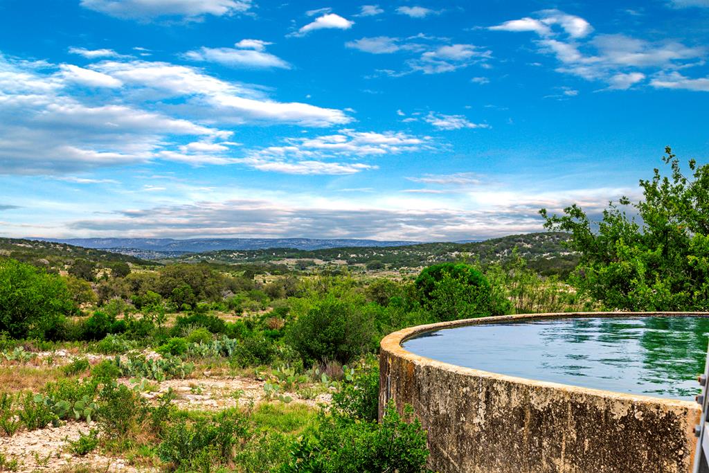 a view of a yard with swimming pool