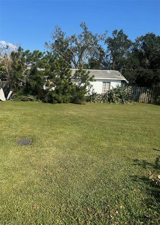 a view of a field with an tree