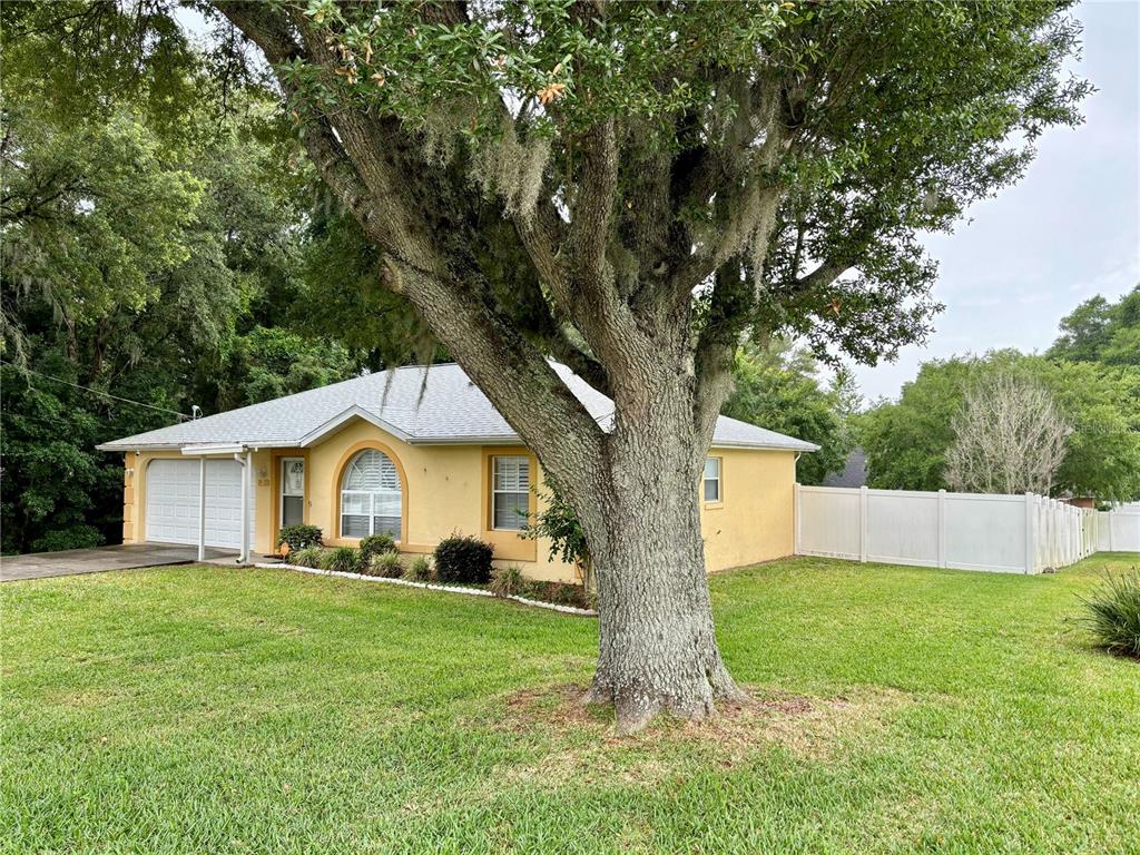 a front view of house with yard and green space