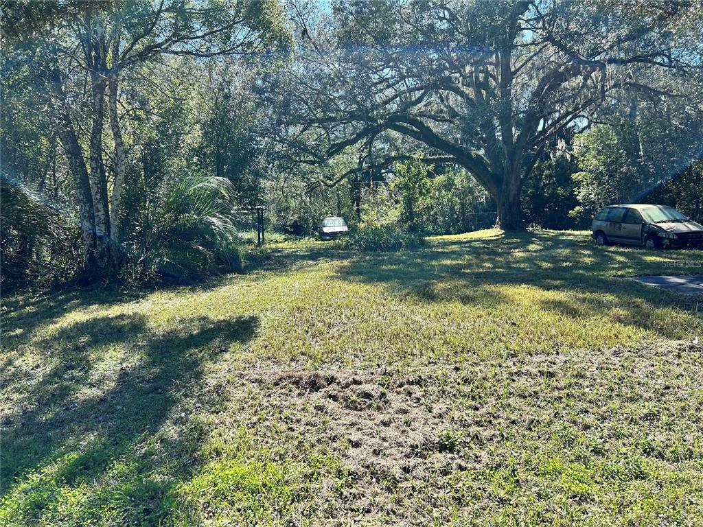 a view of a yard with trees