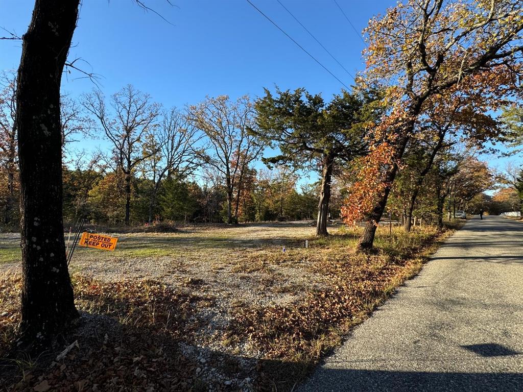 a view of a yard with an trees