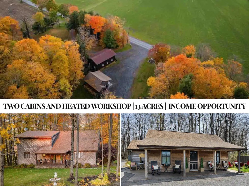 TWO beautiful cabins on 13.46 acres with a large w