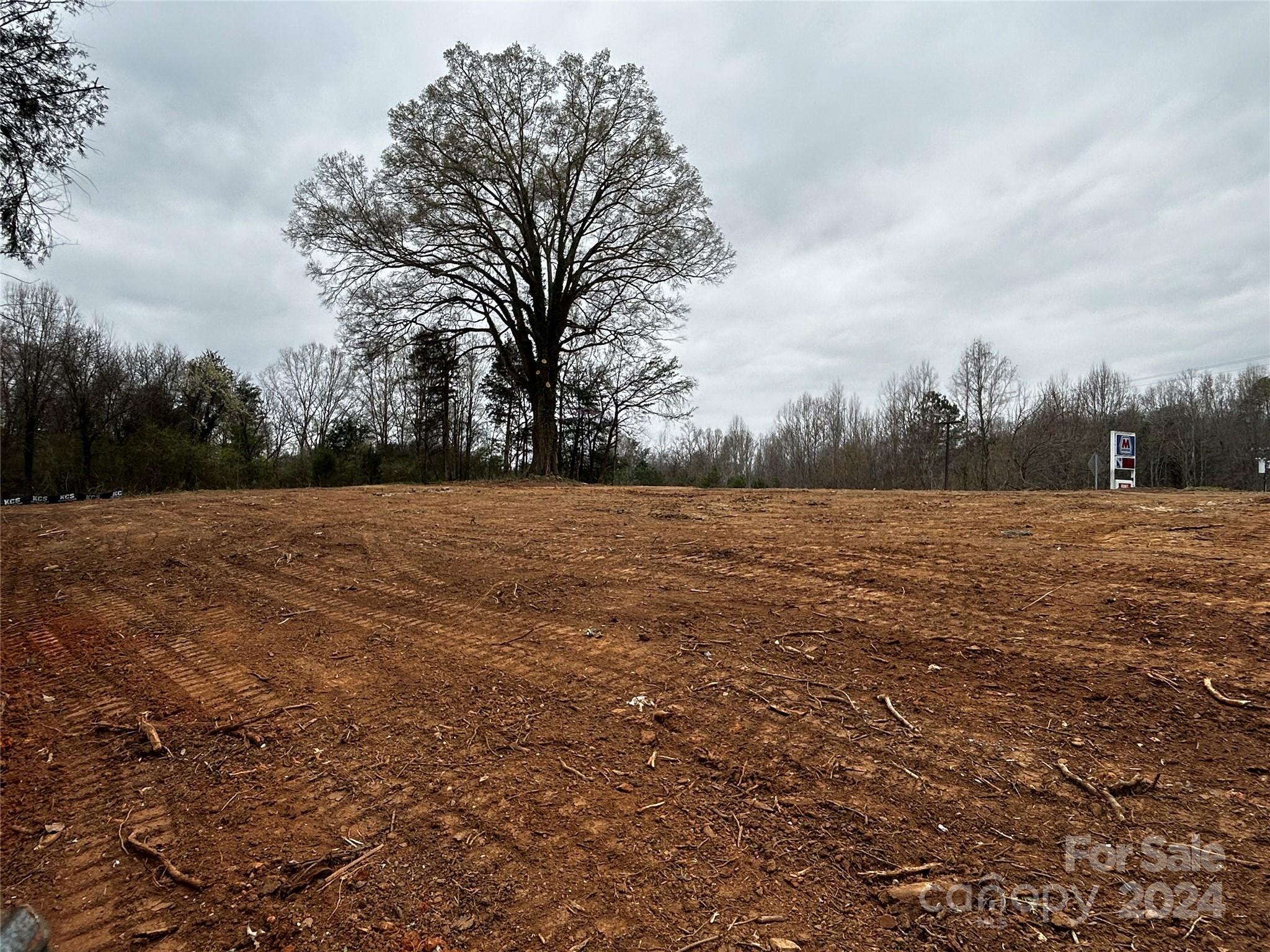 a view of a field with trees in the background