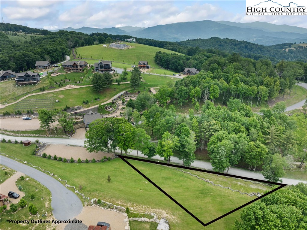 an aerial view of green landscape with trees houses and mountain view