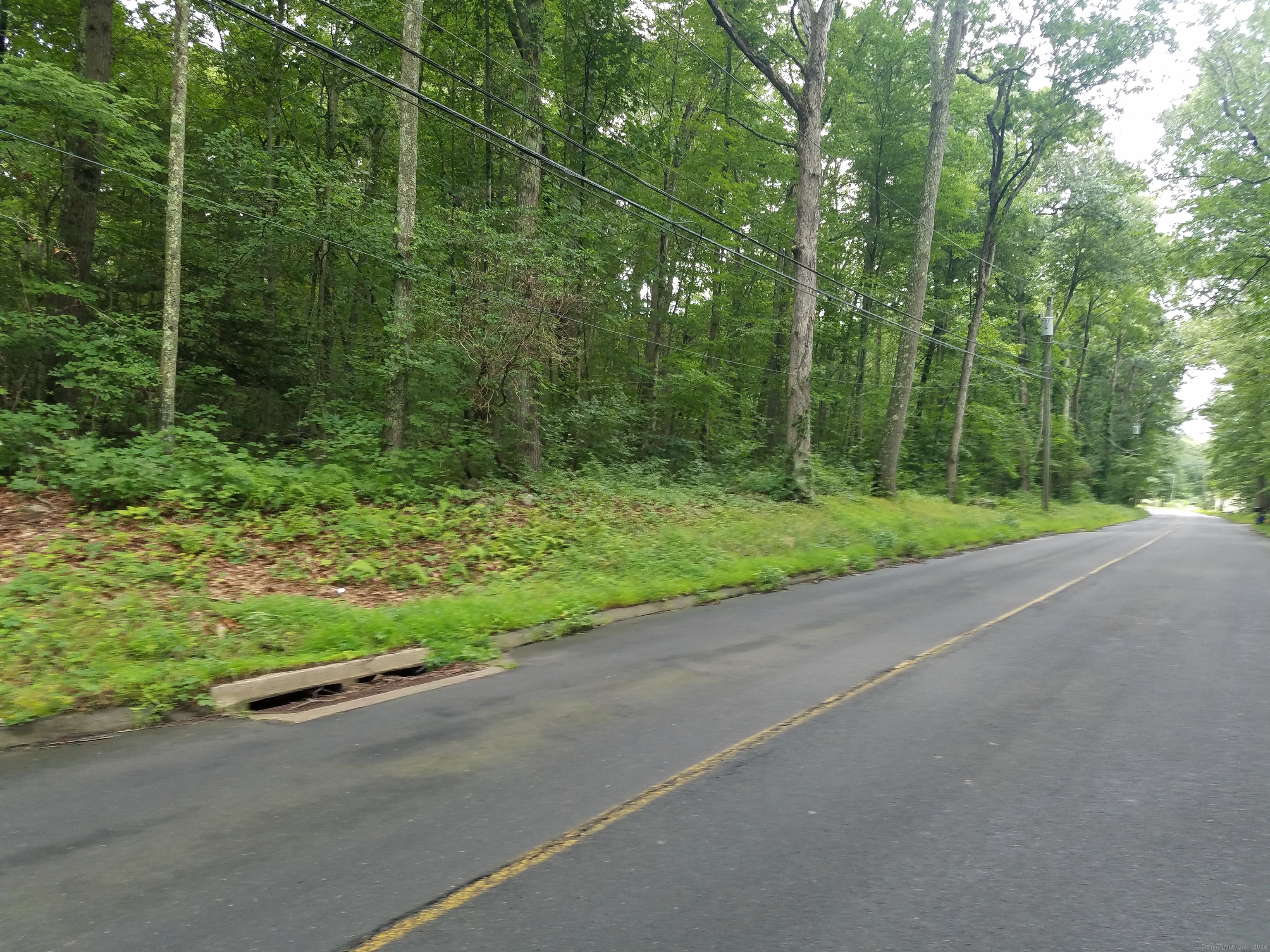 a view of a road with a trees in the background