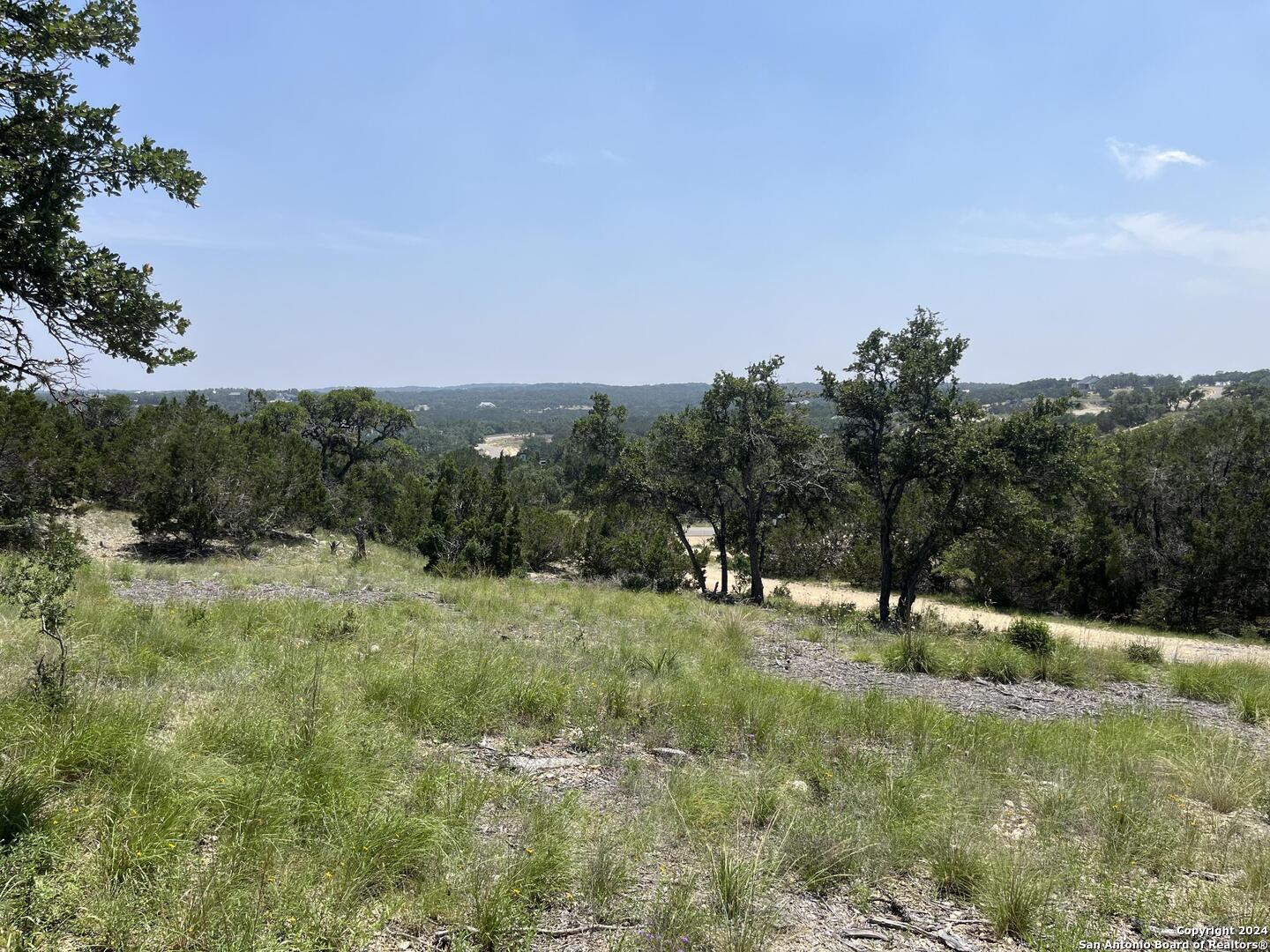 a view of a field with trees in the background