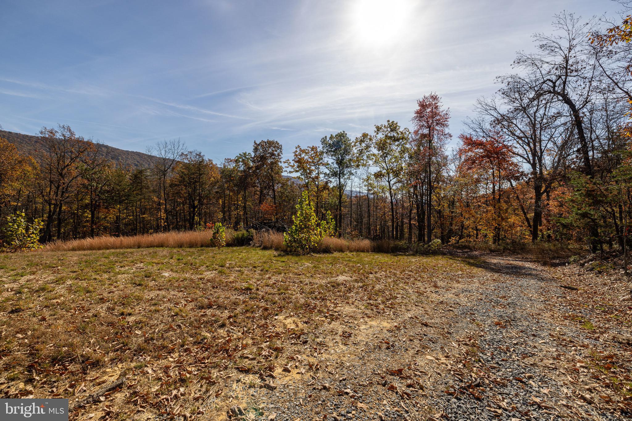 a view of a field with trees in the background