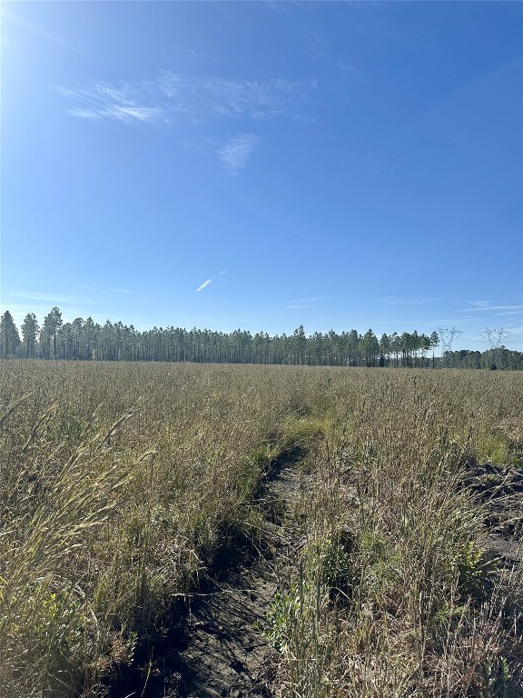 a view of a lake from a yard