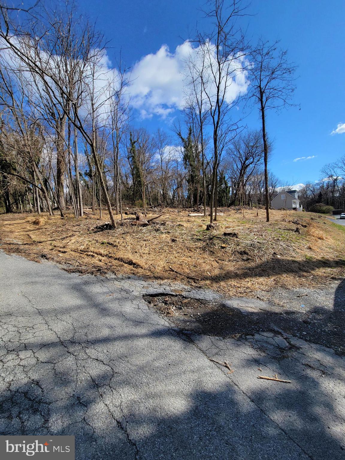 a view of a yard with a tree