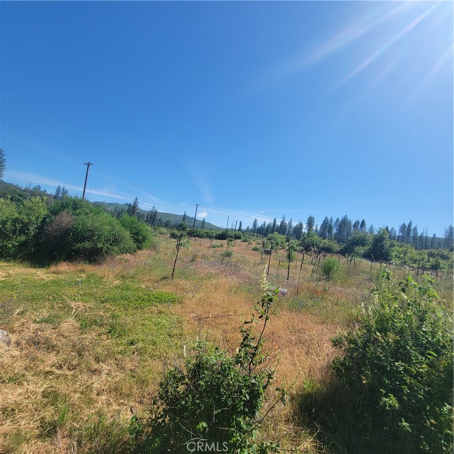 a view of a lake from a yard